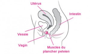 stimuler le périnée avec des boules de geicha