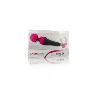boitier du sextoy palm power massager